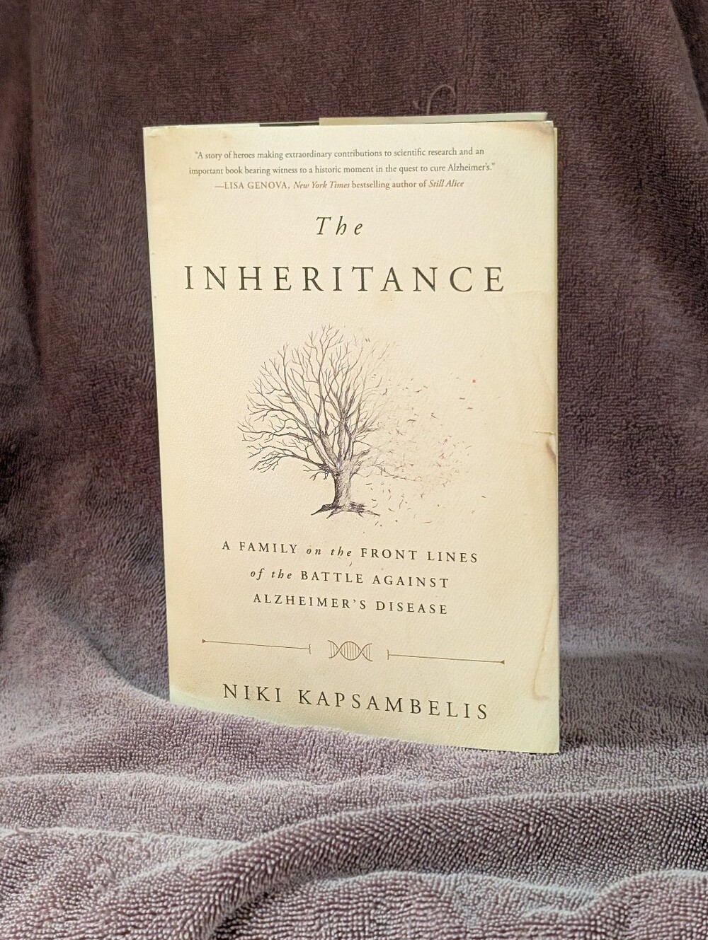 The Inheritance by Niki Kapsambelis — Cream Cover